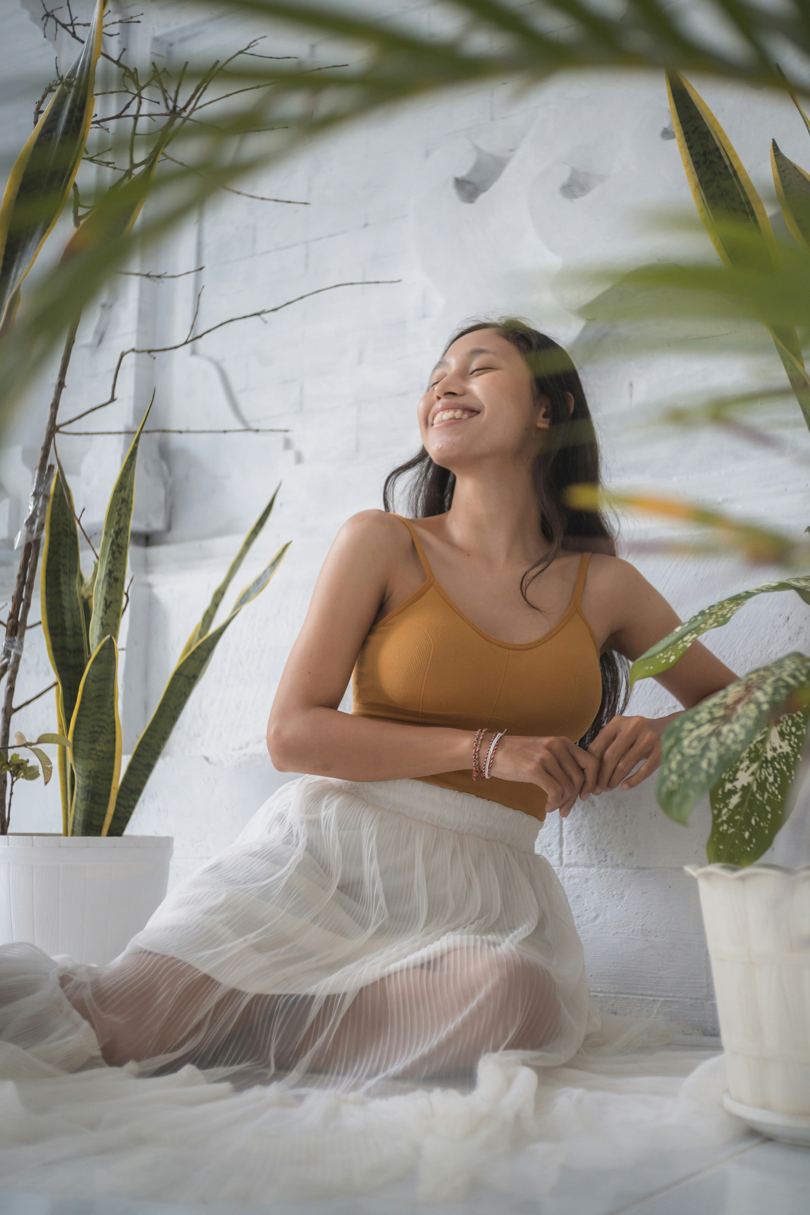 观影解决方案图片